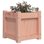 vidaXL Pflanzkübel 2 Stk. Massivholz Douglasie