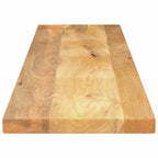 vidaXL Tischplatte 160x20x2,5 cm Rechteckig Massivholz Mango