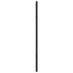 vidaXL Wandspiegel Schwarz 30x60 cm Rechteckig Eisen