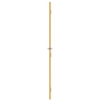 vidaXL Innentür Schlank Golden 76x201,5 cm Hartglas und Aluminium