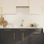 vidaXL Möbelgriffe 10 Stk. Golden 192 mm Edelstahl