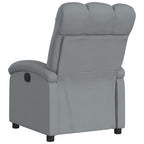 vidaXL Relaxsessel Hellgrau Stoff