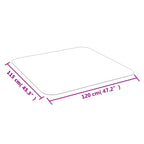 vidaXL Bodenschutzmatte für Laminat oder Teppich 120x115 cm PVC