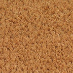 vidaXL Fußmatten 2 Stk. Natur 40x60 cm Kokosfaser Getuftet