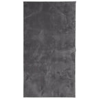 vidaXL Teppich HUARTE Kurzflor Weich und Waschbar Anthrazit 60x110 cm