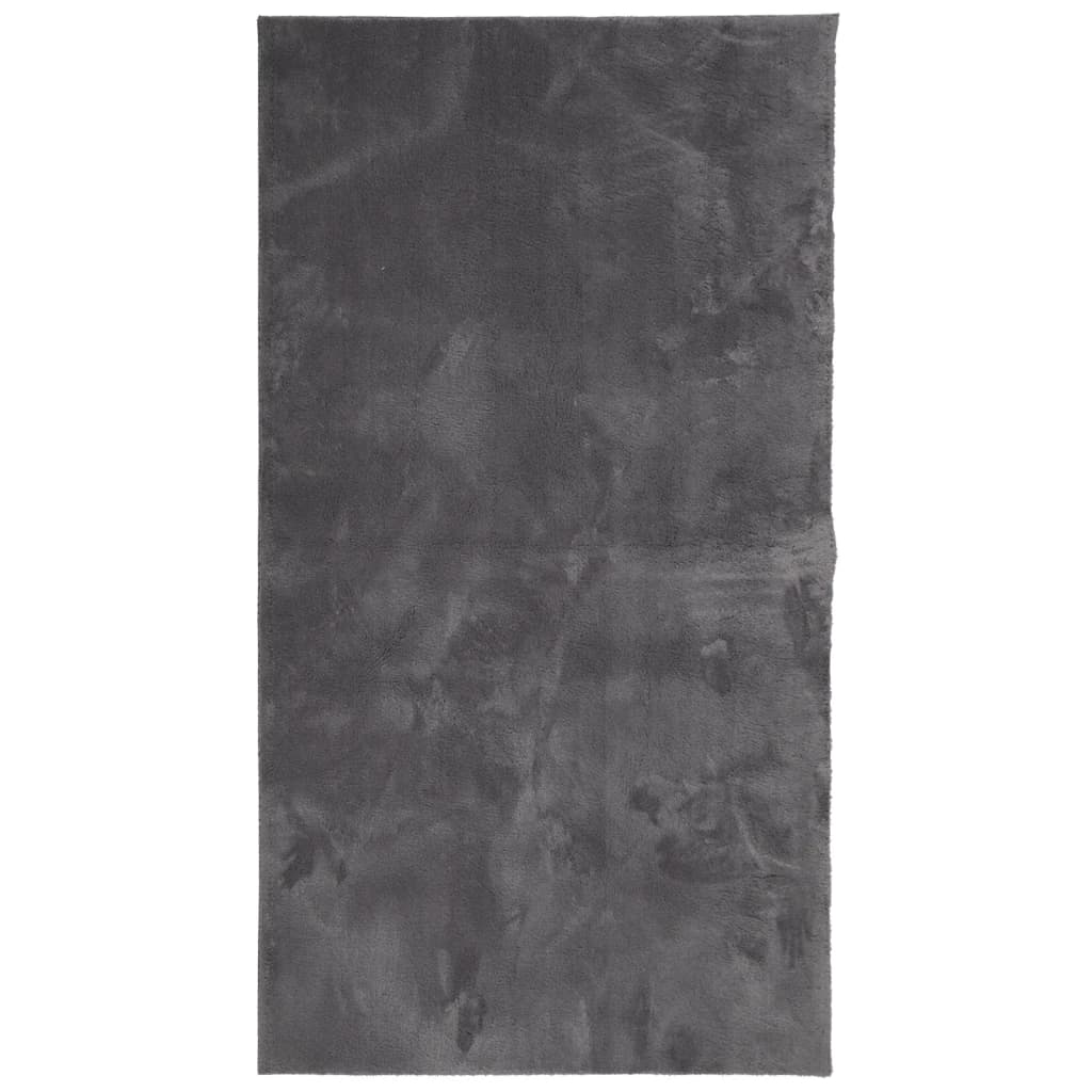 vidaXL Teppich HUARTE Kurzflor Weich und Waschbar Anthrazit 60x110 cm