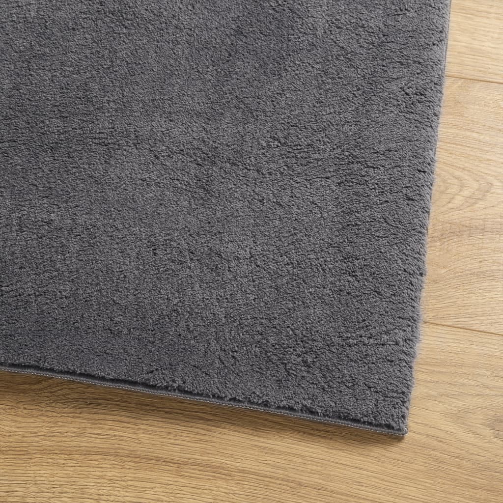 vidaXL Teppich HUARTE Kurzflor Weich und Waschbar Anthrazit 60x110 cm