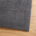 vidaXL Teppich HUARTE Kurzflor Weich und Waschbar Anthrazit 60x110 cm
