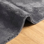 vidaXL Teppich HUARTE Kurzflor Weich und Waschbar Anthrazit 60x110 cm