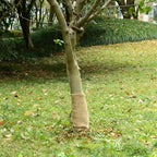 vidaXL Jutegewebe 0,25x5 m 100% Jute 200 g/m²