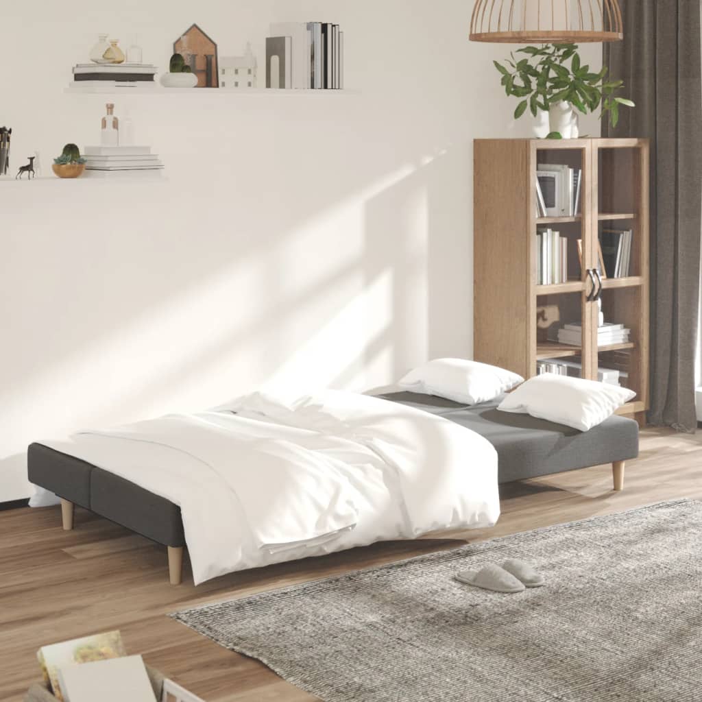 vidaXL Schlafsofa 2-Sitzer Hellgrau Stoff