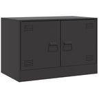 vidaXL TV-Schränke 2 Stk. Schwarz 67x39x44 cm Stahl