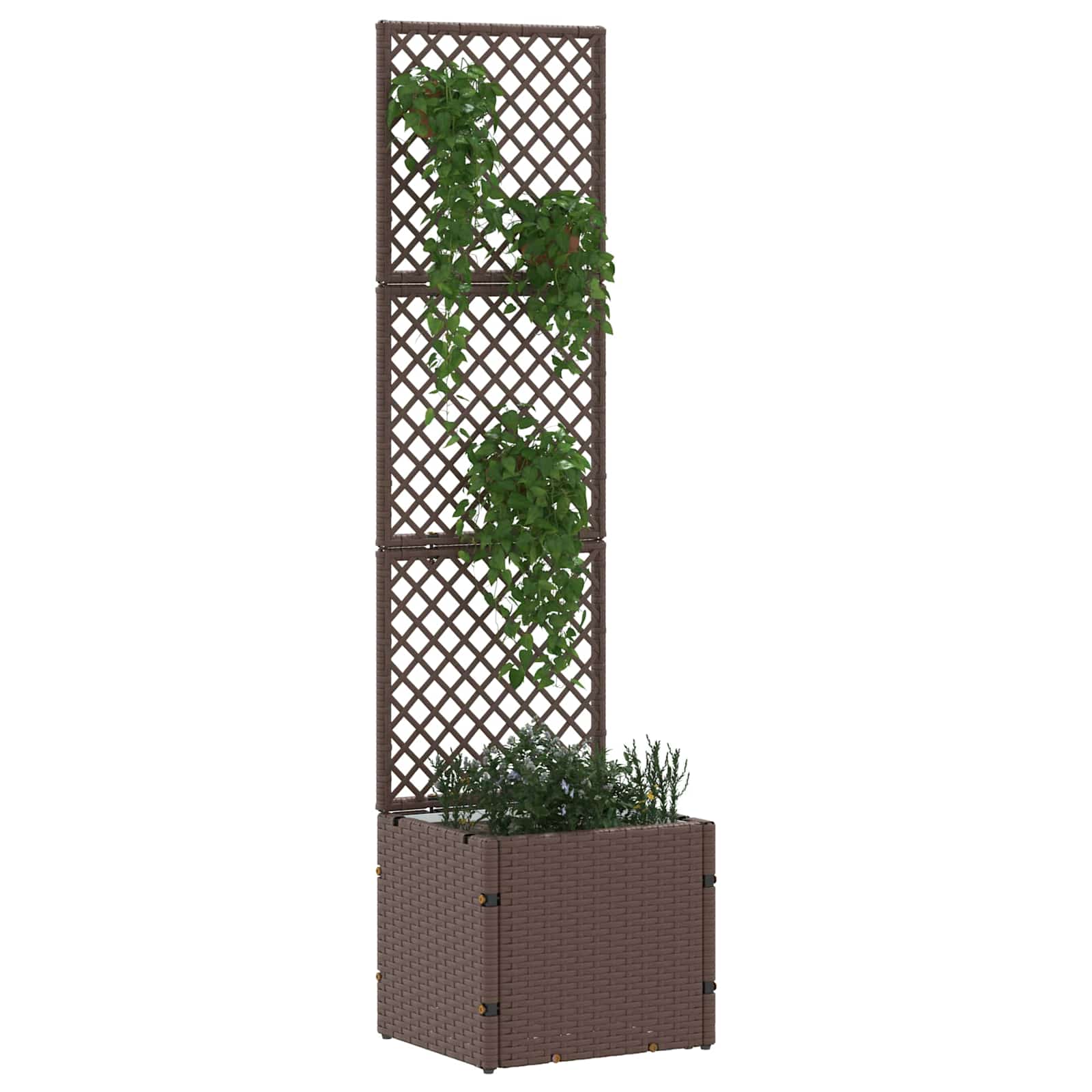 vidaXL Garten-Spalier-Pflanzer Braun 35 x 30 x 135 cm Metall