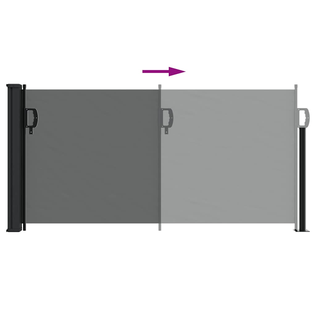 vidaXL Ausziehbare Seitenmarkise Anthrazit 100x300 cm
