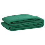 vidaXL Anhängernetz Grün 1,5x2,2 m HDPE