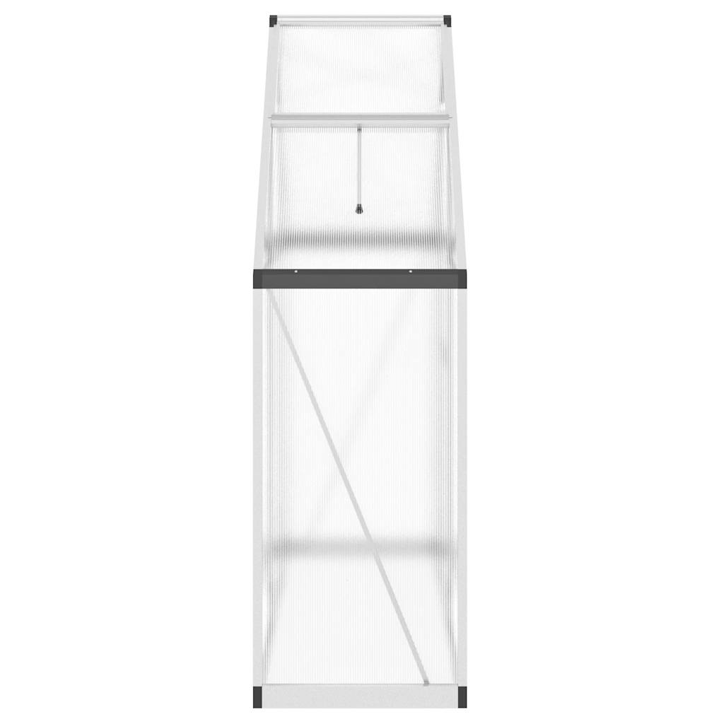 vidaXL Gewächshaus mit Fundamentrahmen Silbern 169x58x195cm Aluminimum