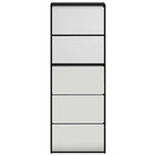 vidaXL Schuhschrank mit Spiegel 5 Fächer Schwarz 63x17x169,5 cm