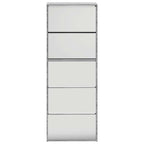 vidaXL Schuhschrank mit Spiegel 5 Fächer Grau Sonoma 63x17x169,5 cm