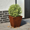 vidaXL Pflanzkübel 2 Stk. 30x30x30 cm Wetterfester Stahl