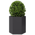 vidaXL Pflanzkübel Schwarz Sechseckig 46x40x45 Stahl