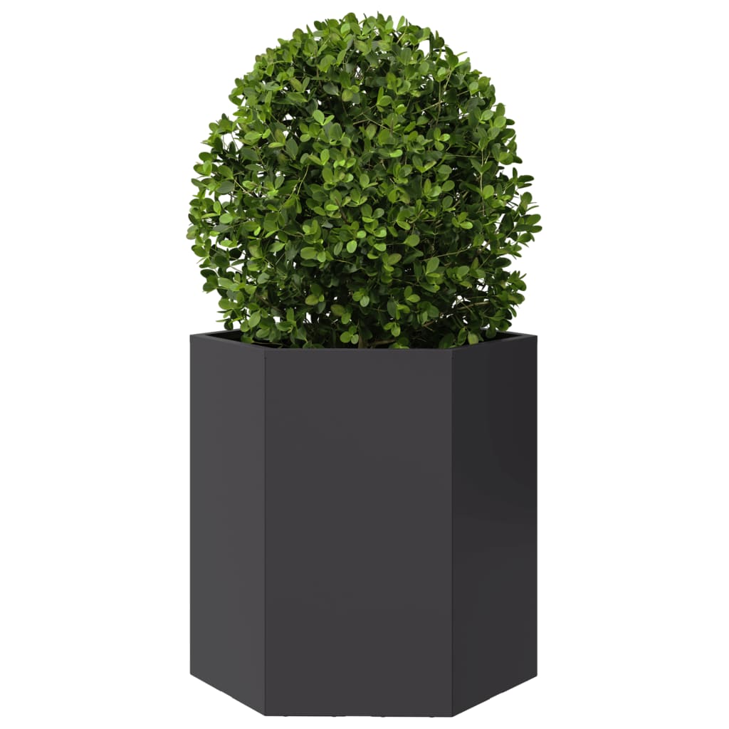 vidaXL Garten-Pflanzgefäße 2 Stück Schwarz Sechseckig 46x40x45 Stahl