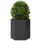 vidaXL Garten-Pflanzgefäße 2 Stück Schwarz Sechseckig 46x40x45 Stahl