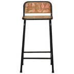 vidaXL Barhocker 4 Stk. 46x35,5x80 cm Altholz Massivholz