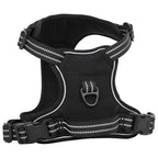 vidaXL Hundegeschirr mit Leine & Halsband Verstellbar Schwarz M