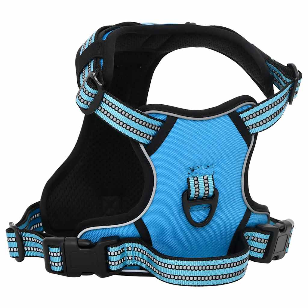 vidaXL Hundegeschirr mit Leine & Halsband Verstellbar Blau L