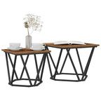 vidaXL Beistelltisch-Set 2 pcs Altholz Ingenieure Holz und Stahl