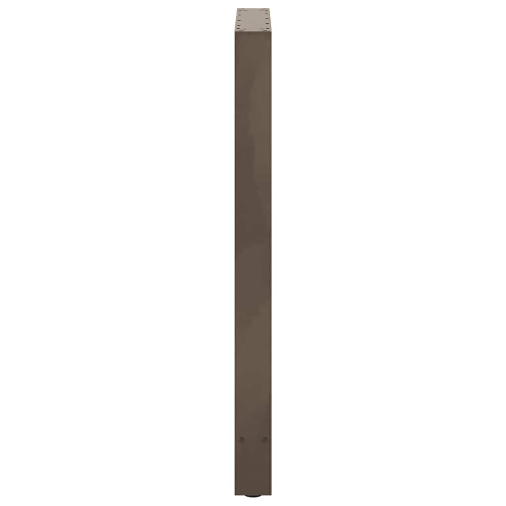 vidaXL Bartischbeine Naturstahl 2 Stk. 60x(100-101) cm Stahl