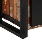 vidaXL TV-Schrank 100x30x40 cm Altholz Massiv