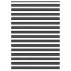vidaXL Doppelrollo Dunkelgrau Stoffbreite 35,9 cm Polyester