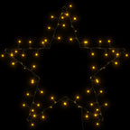 vidaXL Weihnachtsbeleuchtung Stern-Silhouette 80 LEDs Warmweiß