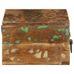 vidaXL TV-Wandschrank 60x30x19 cm Altholz Massiv