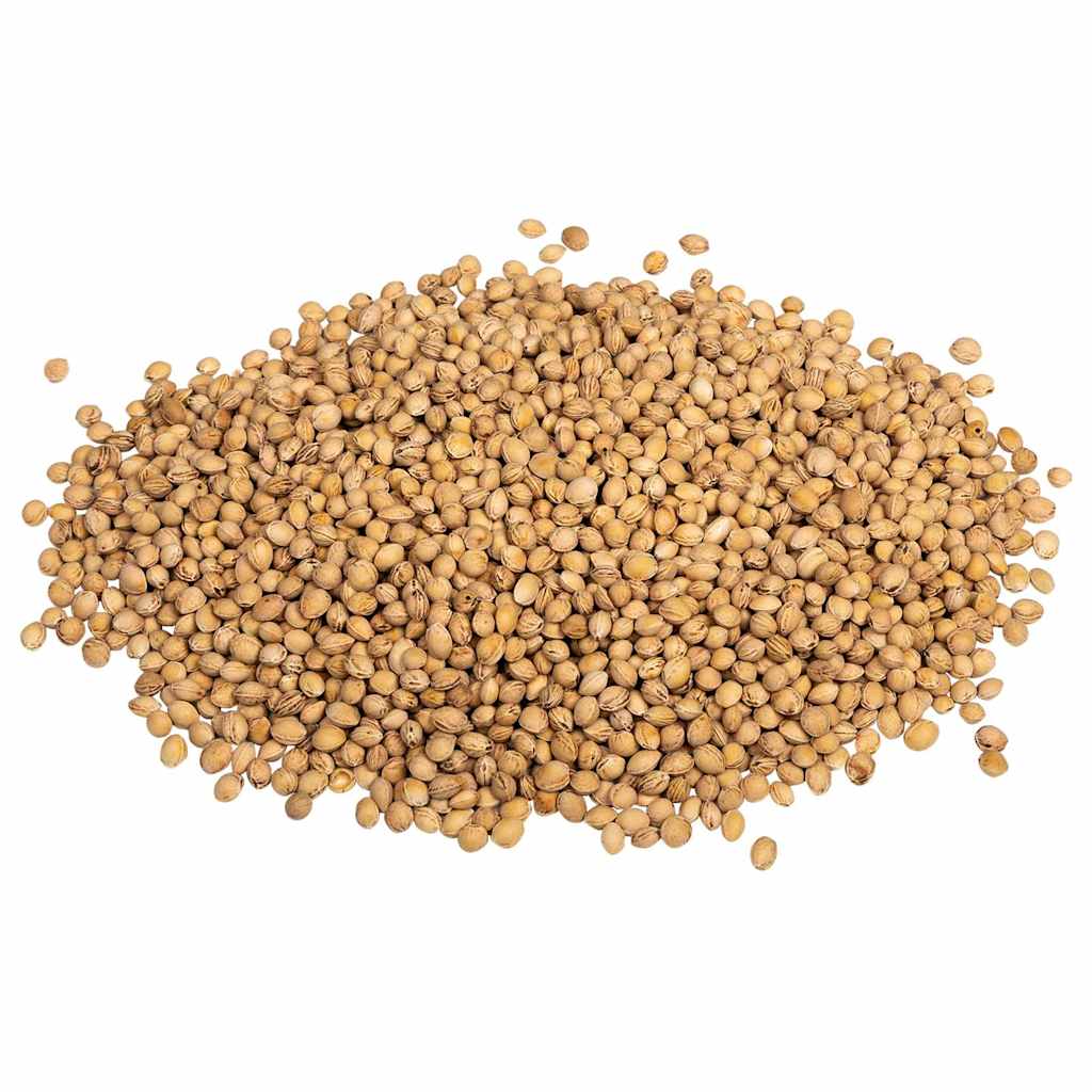 vidaXL Kirschkerne für Wärmekissen 5 kg