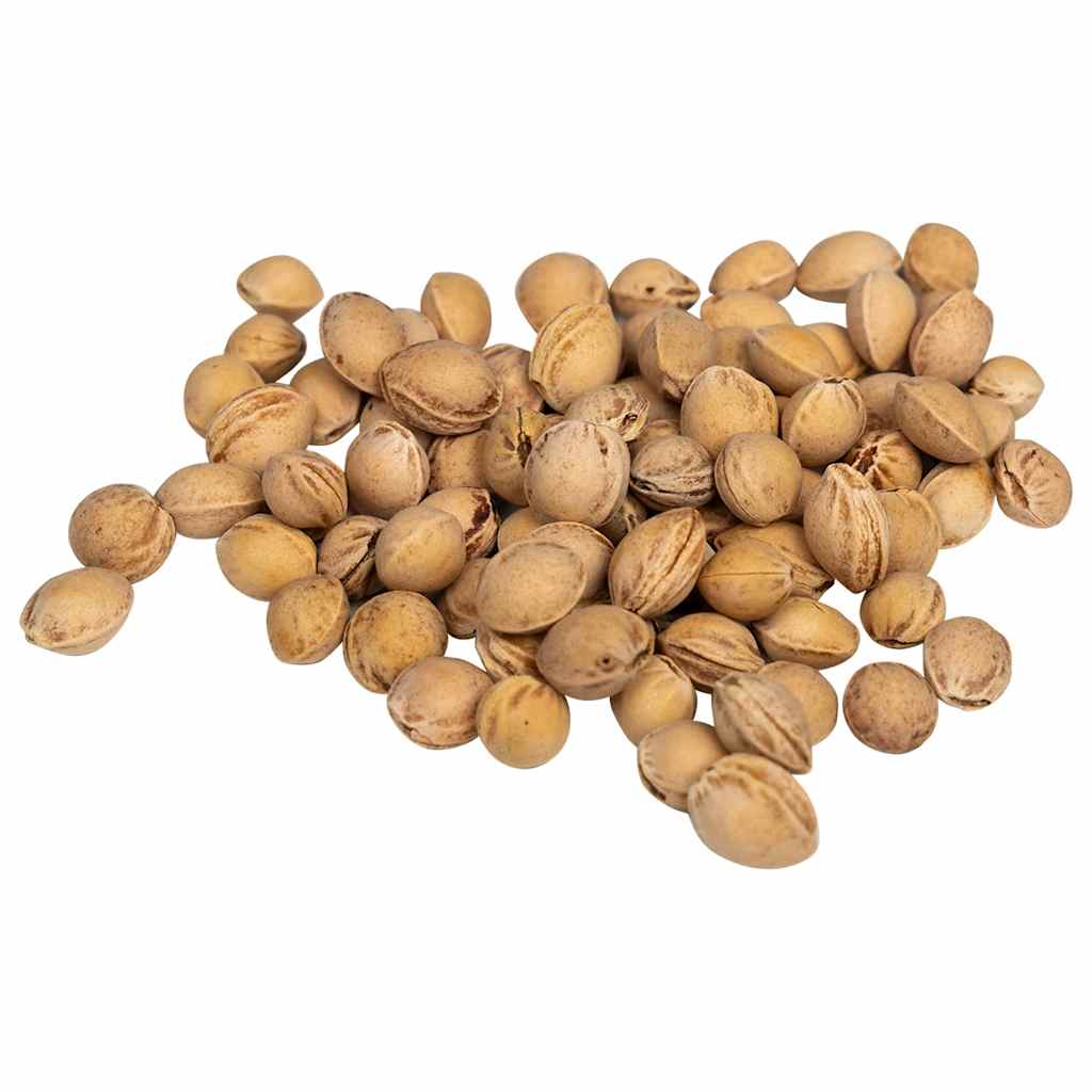 vidaXL Kirschkerne für Wärmekissen 5 kg