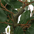 vidaXL Ficusbaum Künstlich 756 Blätter 170 cm Grün