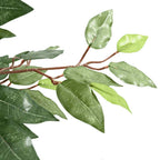 vidaXL Ficusbaum Künstlich 756 Blätter 170 cm Grün