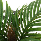 vidaXL Palme Künstlich 6 Blätter 100 cm Grün