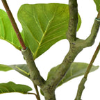 vidaXL Ficusbaum Künstlich 30 Blätter 125 cm Grün