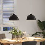 vidaXL Pendelleuchten 2 Stk. Höhenverstellbar E27 Schwarz Ø30cm Metall
