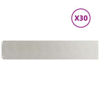 vidaXL Rasenkanten 30 Stk. 20x103 cm Edelstahl