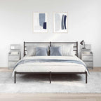 vidaXL Nachttische mit 2 Schubladen 2 Stk. Betongrau 38x34x80 cm