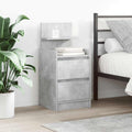 vidaXL Nachttische mit 2 Schubladen 2 Stk. Betongrau 38x34x80 cm