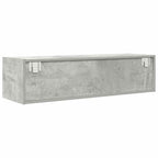vidaXL TV-Schränk Betongrau 100 x 31 x 25,5 cm Holzwerkstoff