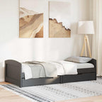 vidaXL Tagesbett mit 2 Schubladen ohne Matratze IRUN Schwarz 90x200cm