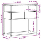 vidaXL Konsolentisch Altholz 75 x 40 x 75 cm Holzwerkstoff
