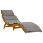 vidaXL Sonnenliege mit Kissen 2 pcs Grau Massivholz Akazie