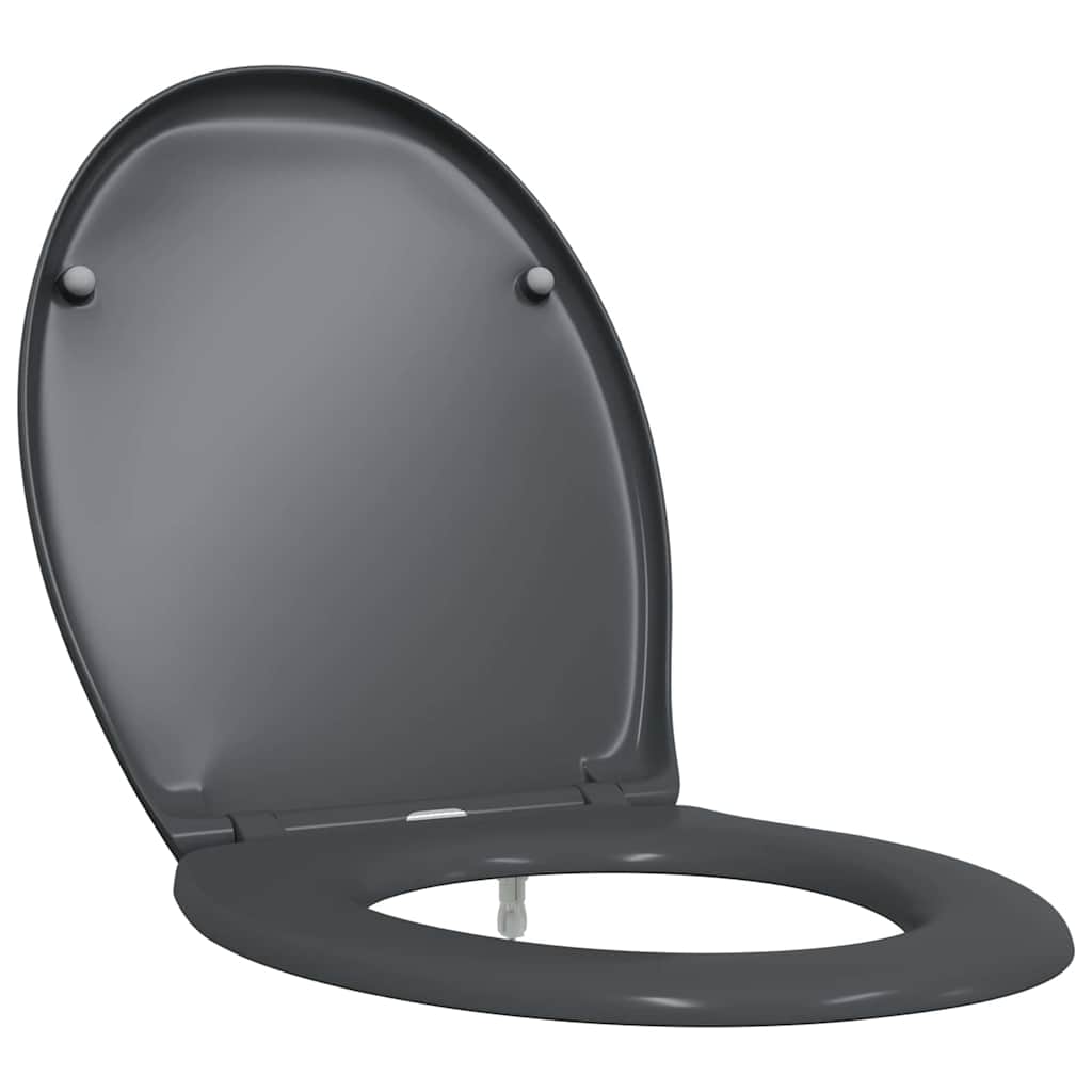 vidaXL Toilettensitz Anthrazit 47 x 37 x 4 cm Duroplast